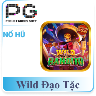 Wild Đạo Tặc